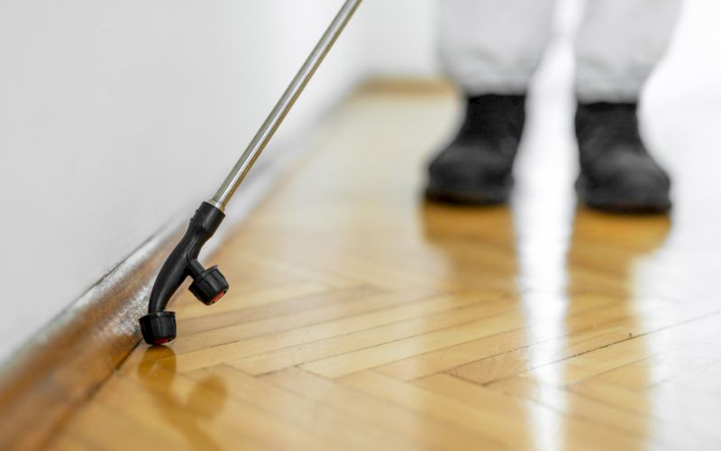 Tuhohyönteistorjunta